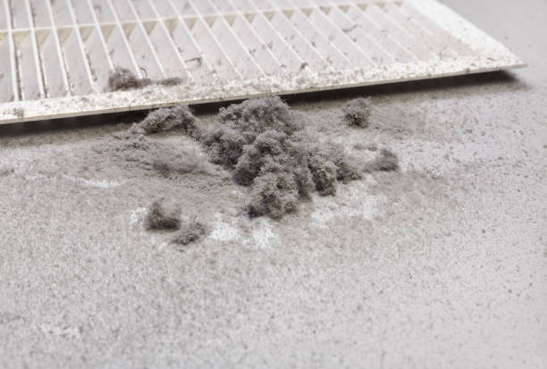 Best General Air Duct Cleaning  in Storm Lake, IA