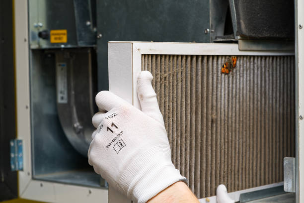 Best HVAC System Cleaning  in Storm Lake, IA